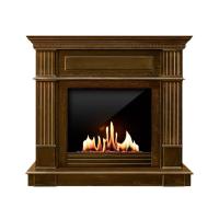 Биокамин в портале SteelHeat Rim, стемалит