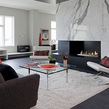 Биокамин Autofire Arch-06